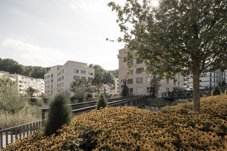 Bächlipark Wollerau, Aussenaufnahme, marty architektur