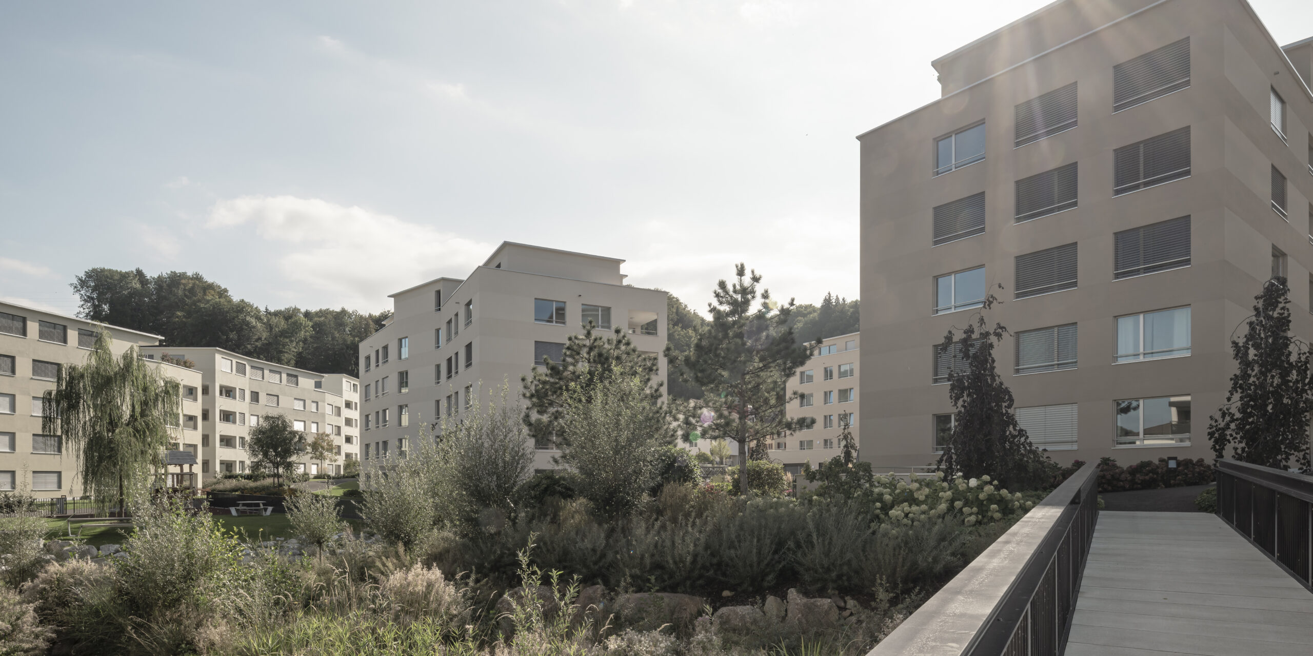 Bächlipark Wollerau, Aussenaufnahme, marty architektur