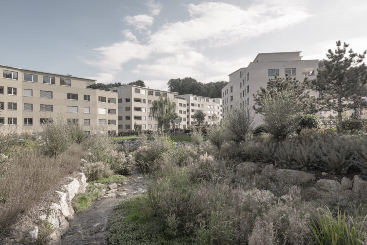 Bächlipark Wollerau, Aussenaufnahme Bach, marty architektur