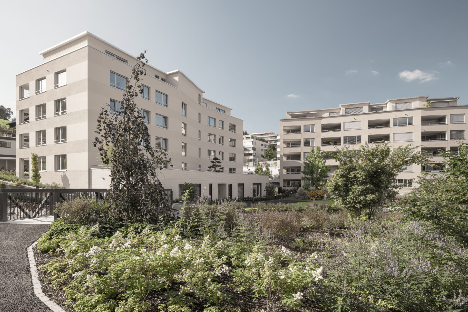 Bächlipark Wollerau, Aussenaufnahme, marty architektur