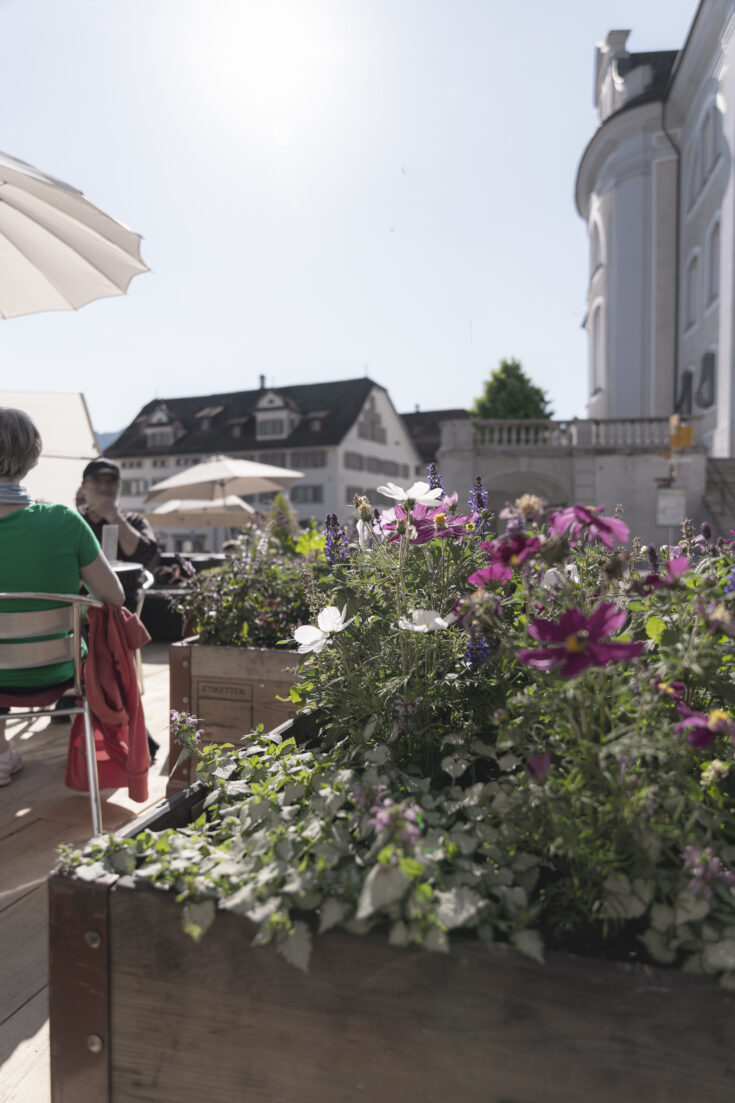 Freiluftcafé Hauptplatz Schwyz, Pflanztröge, marty architektur