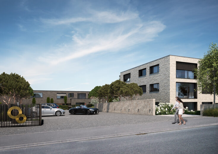 Seegüetli Lachen, Aussenvisualisierung, marty architektur