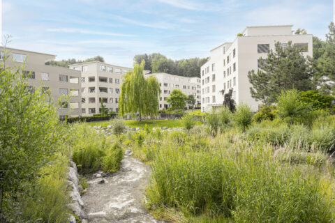 Bächlipark Wollerau, Schlussfoto, marty architektur