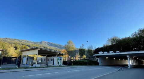 Tierpark Goldau, Baufoto Zugangspforte, marty architektur