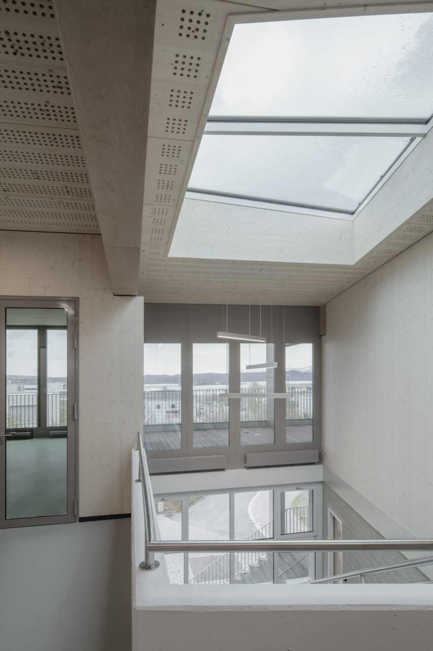 Dreifachturnhalle Pfäffikon, Oblicht, marty architektur