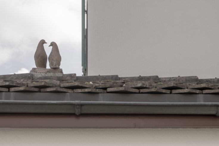 Alte Kaplanei Pfrundhaus Seewen, Detailaufnahme Dach, marty architektur