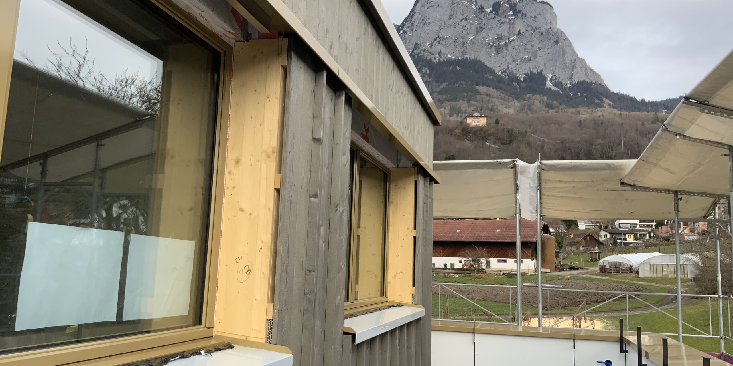 Blumen Müller Schwyz, Baufoto Holzfassade, marty architektur