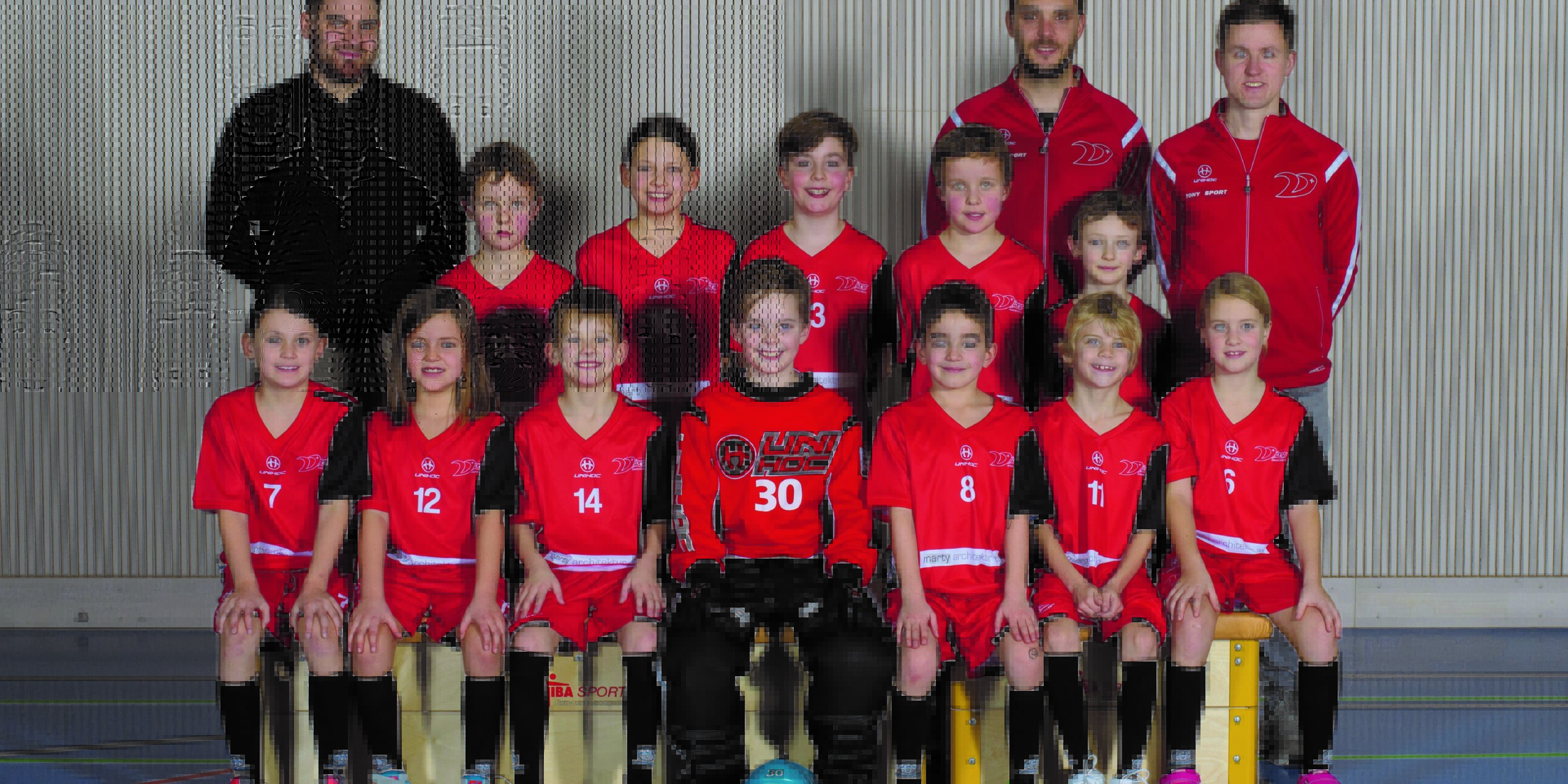 Sponsoring Nachwuchs Vipers InnerSchwyz, marty architektur