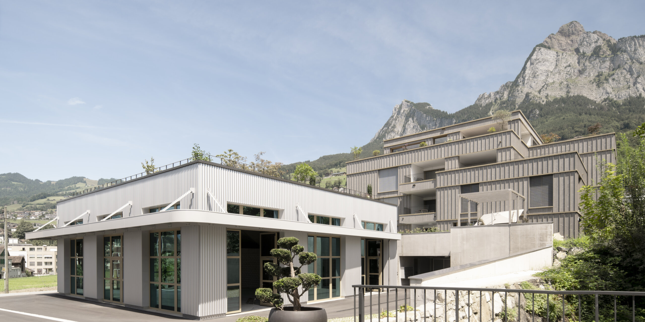 Blumen Müller Schwyz, Schlussfoto, marty architektur
