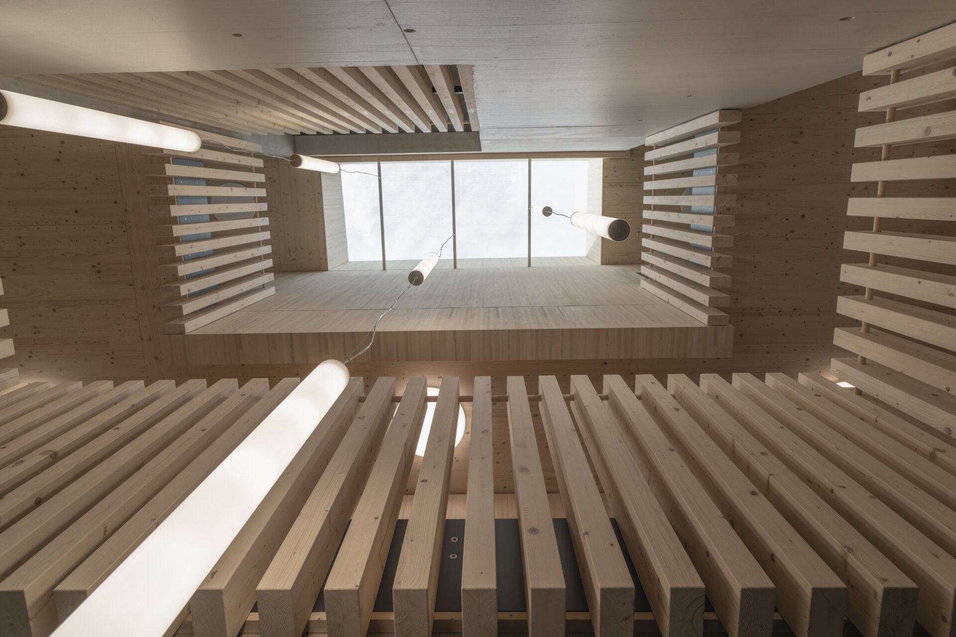 Tierpark Goldau, Verwaltung, Oblicht, marty architektur ag