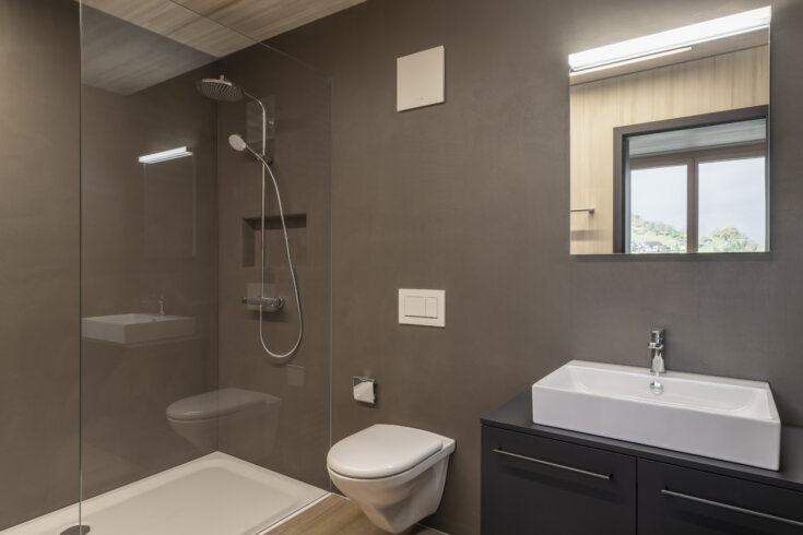 Tierpark Goldau, Wohnhaus, Badezimmer, marty architektur ag