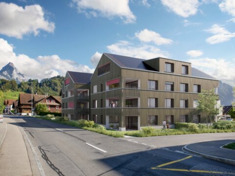 Schwyzerstrasse Steinen, Aussenvisualisierung, marty architektur