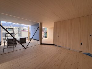 Schwyzerstrasse Steinen, Baufoto Aufrichtung, marty architektur